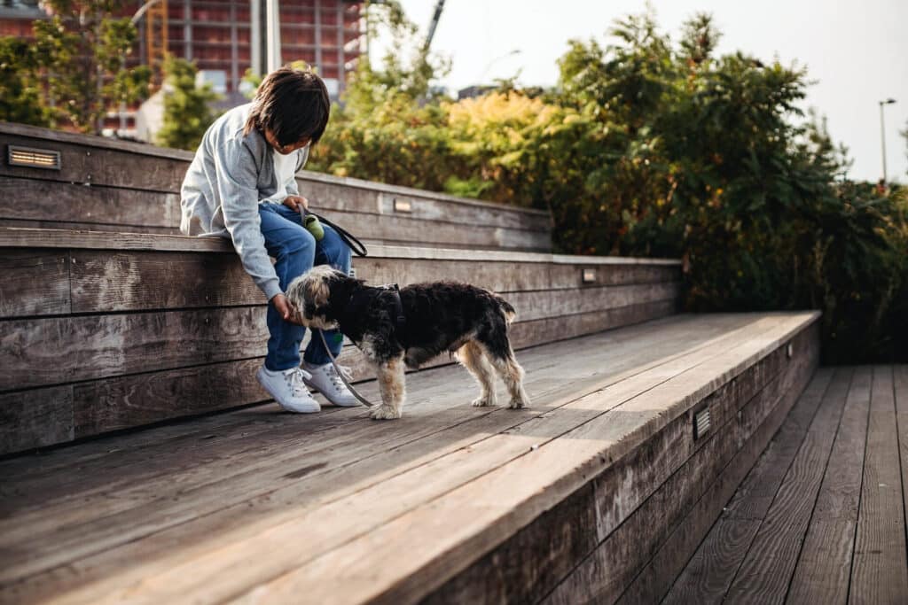 dziecko na spacerze z psem